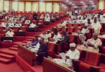 Senate rejects visa-on-arrival policy, summons interior minister