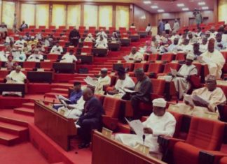 Senate rejects visa-on-arrival policy, summons interior minister