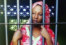 The caged love bird, Maryam Sanda
