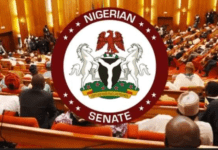 Senate okays HND as new minimum qualification for president, govs