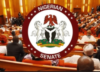 Senate okays HND as new minimum qualification for president, govs
