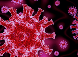 COVID-19: Delta hits 57 cases