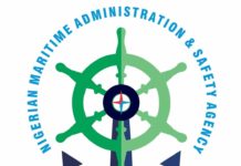 NIMASA opens investigation into shoal of fish found dead on Niger Delta coastline