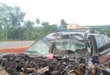 ASUP chairman in Delta Poly dies in a road accident