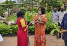 Akwa Ibom state distributes 500,000 cocoa seedlings, input to farmers