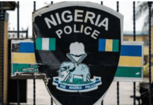 Eight passengers kidnapped in Ondo have regained freedom