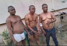 Traditional ruler, pastor of winners’ chapel among 31 suspects paraded by police in Owerri