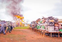 Lalong supervises destruction of 16.697kg of drugs by NDLEA Lalong supervises destruction of 16.697kg of drugs by NDLEA