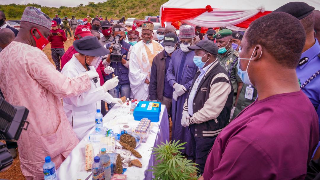 Lalong supervises destruction of 16.697kg of drugs by NDLEA 