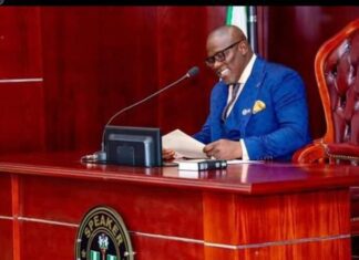 Delta at 29: Oborevwori calls for peace, unity