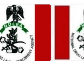 16 suspected drugs peddlers arrested in Jos