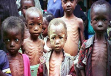 Children in Jos North, Mangu, Shendam at risk of stunting, acute malnutrition