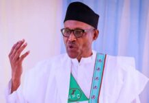 Buhari and Ndigbo Businesses