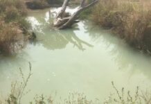 15 people die in mysterious stream called ‘Pond of death’ in Nasarawa