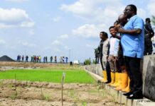 Governor Ayade recommends cultivation of king grass as solution to farmers-herders clashes