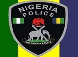 Gunmen kill 3 policemen in Aniocha, Delta State