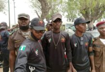 ‘Volunteer security outfits should be permitted to carry light arms’