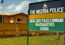 Suspected yahoo boy arrested in Oleh for killing twin brother for money rituals