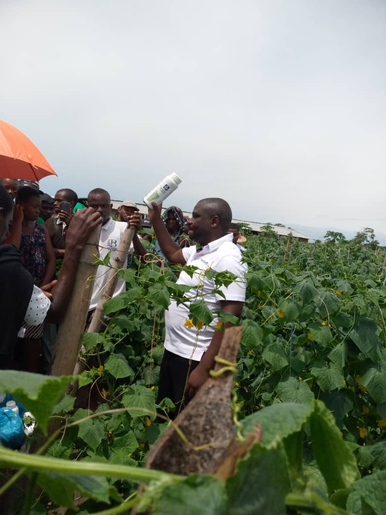 A'Ibom to produce tomato paste, 169 youths trained on vegetable enterprise devt