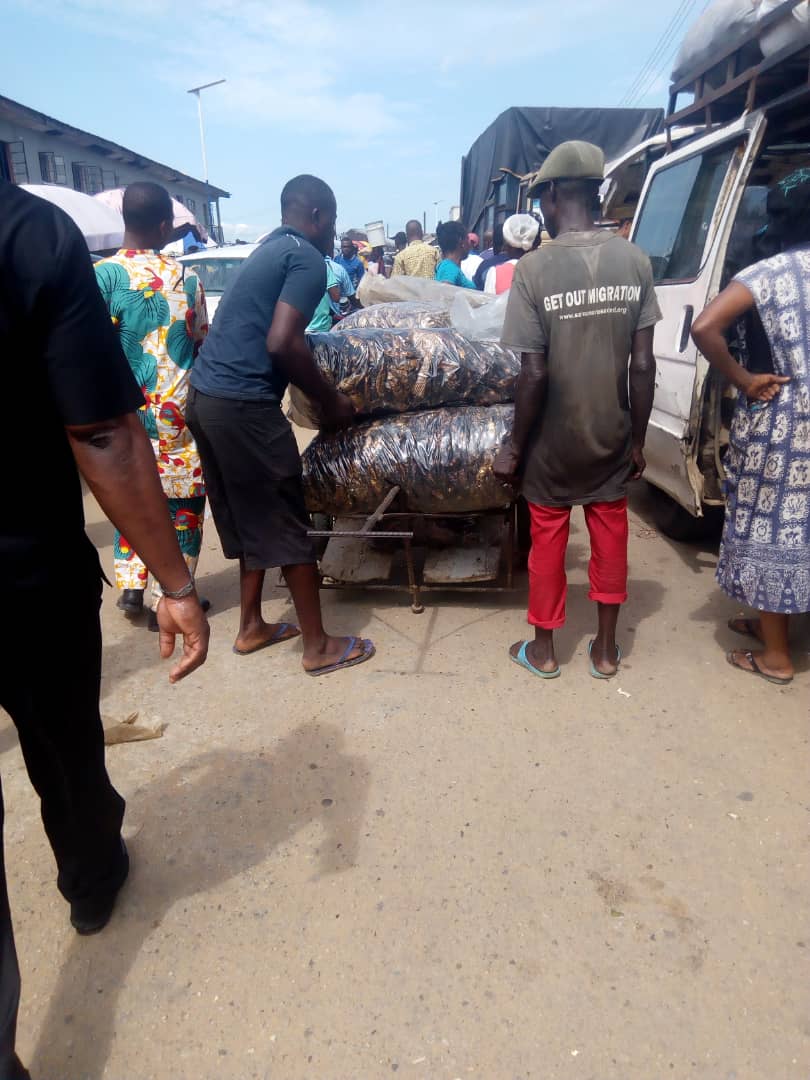 Inside Oron seafood market, Igbo traders control prices of fish, crayfish 