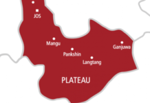 Plateau state records 953 cases of cholera, 14 deaths in two months