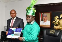 UN proclaims Governor Ayade champion of industrialisation