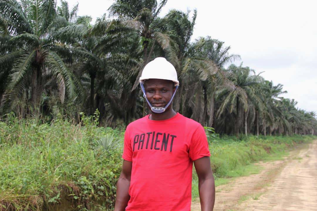 Akwa Ibom commences reactivation of 3,000 hectare palm plantation 