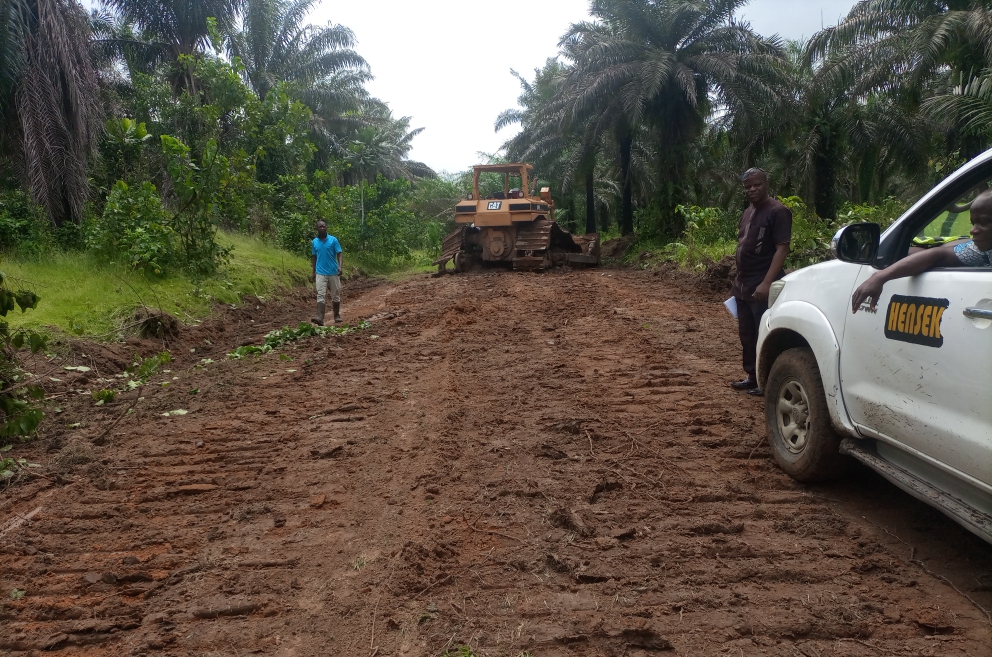 Akwa Ibom commences reactivation of 3,000 hectare palm plantation 