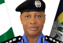 IGP squad commander, 7 others killed in Plateau