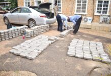 Troops arrest retired military man with N7.5m worth of Cannabis
