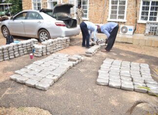 Troops arrest retired military man with N7.5m worth of Cannabis