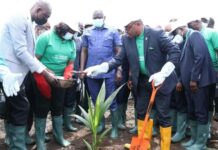 Akwa Ibom set to open microfinance bank to support farmers