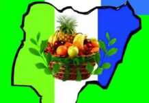 New Nigeria People’s Party wants FG to beef up security ahead of yuletide