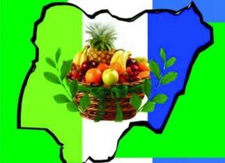 New Nigeria People’s Party wants FG to beef up security ahead of yuletide