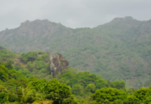 Federal Government to takeover Marhai forest reserve among 10 newly acquired National parks