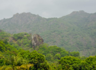 Federal Government to takeover Marhai forest reserve among 10 newly acquired National parks