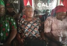 Plateau guber: Mutfwang urges delegates to resist undue influence