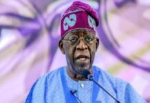 Ondo State Chairman of National Conscience Party, others declare for Tinubu