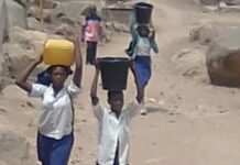 Water scarcity hits Plateau, residents share water sources with animals