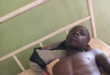 12 people killed in fresh attack in Chando, Bassa, Plateau State