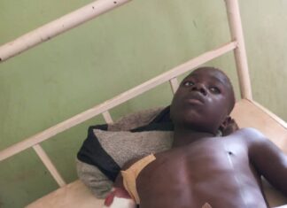 12 people killed in fresh attack in Chando, Bassa, Plateau State