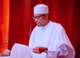 Catholic Laity Council of Nigeria raises alarm over killing of Priests, worshippers