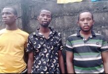 Police Anti-Kidnapping unit nabs gang terrorising Ogbosisi market, Imo State