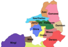 Abubakar Sadique denies recruiting people to disrupt elections in Bauchi