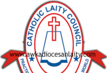 2023: Consider age, health status of candidates before voting, Catholic Laity Council tells Nigerians