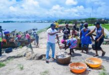 Ocean surge threatens Akwa Ibom community as NDDC abandons shore protection project