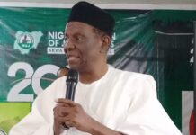 Amend immunity clause to prevent President, Governors from suing while in office – Iredia