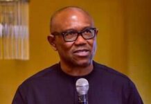 February 25: All eyes on Peter