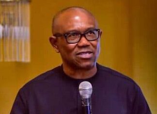 Four books, magazine on Obi for public presentation