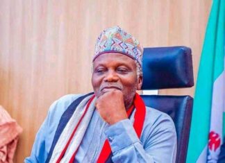 Nasarawa kidnappers demand N70m ransom for ex-Deputy Governor’s release